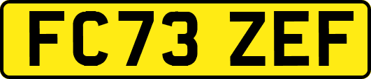 FC73ZEF