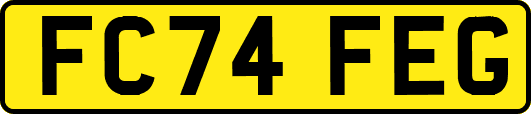 FC74FEG