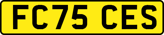 FC75CES