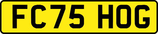 FC75HOG