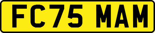 FC75MAM