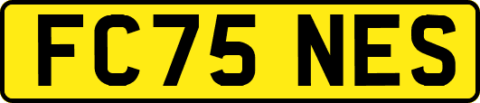 FC75NES