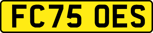 FC75OES