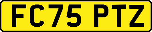 FC75PTZ