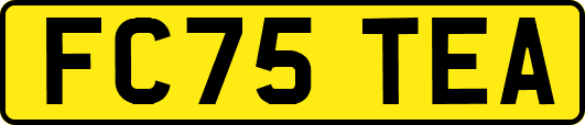 FC75TEA