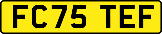 FC75TEF