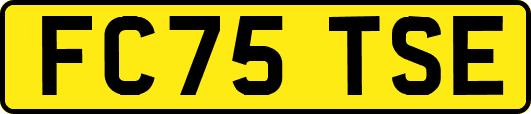 FC75TSE