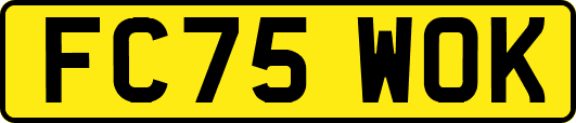FC75WOK