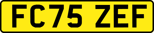 FC75ZEF