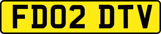 FD02DTV