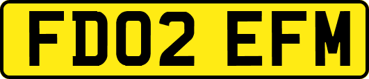 FD02EFM