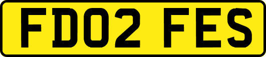 FD02FES