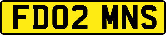 FD02MNS
