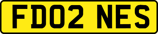 FD02NES