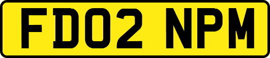 FD02NPM