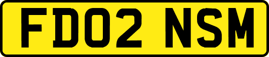 FD02NSM