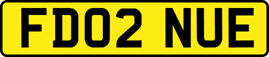 FD02NUE