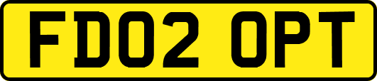 FD02OPT
