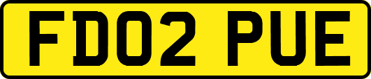 FD02PUE