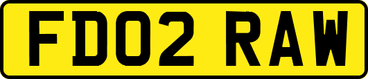 FD02RAW