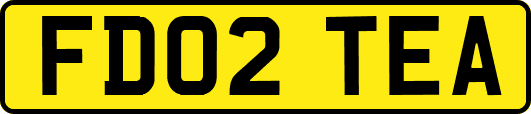FD02TEA
