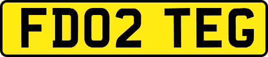 FD02TEG