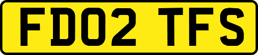 FD02TFS