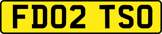 FD02TSO