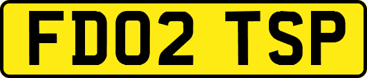 FD02TSP