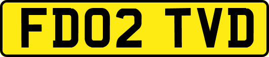 FD02TVD