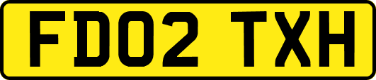 FD02TXH
