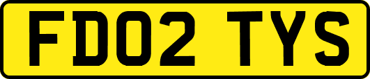 FD02TYS