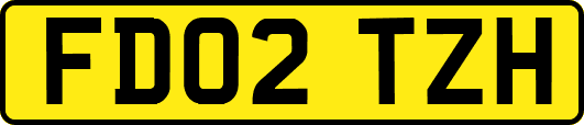 FD02TZH