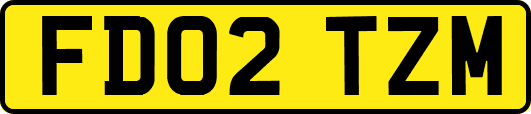 FD02TZM