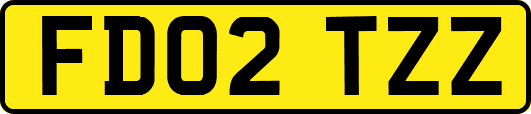 FD02TZZ