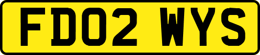 FD02WYS