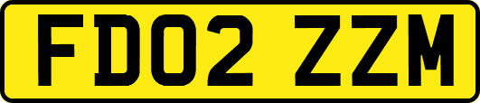 FD02ZZM
