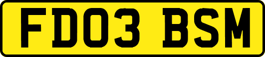 FD03BSM