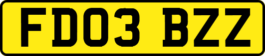 FD03BZZ