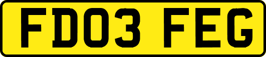 FD03FEG