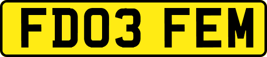 FD03FEM