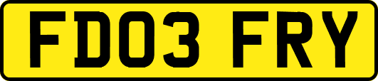 FD03FRY