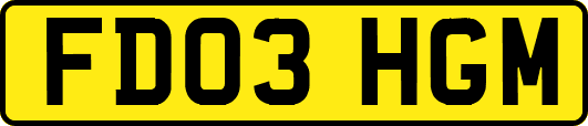 FD03HGM
