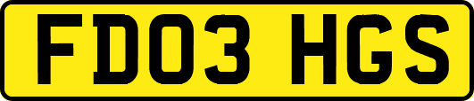 FD03HGS