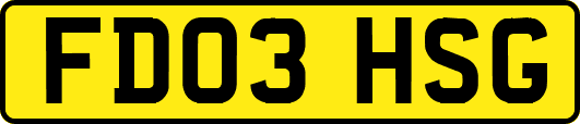 FD03HSG