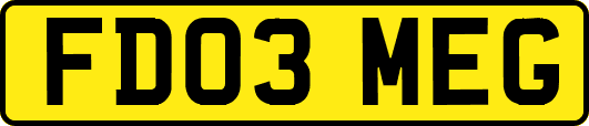 FD03MEG