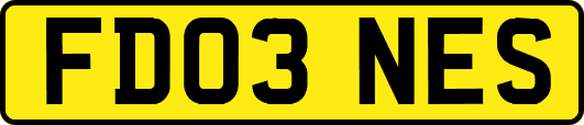 FD03NES