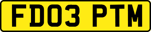 FD03PTM