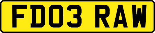 FD03RAW