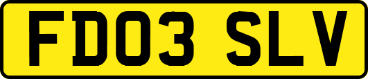 FD03SLV